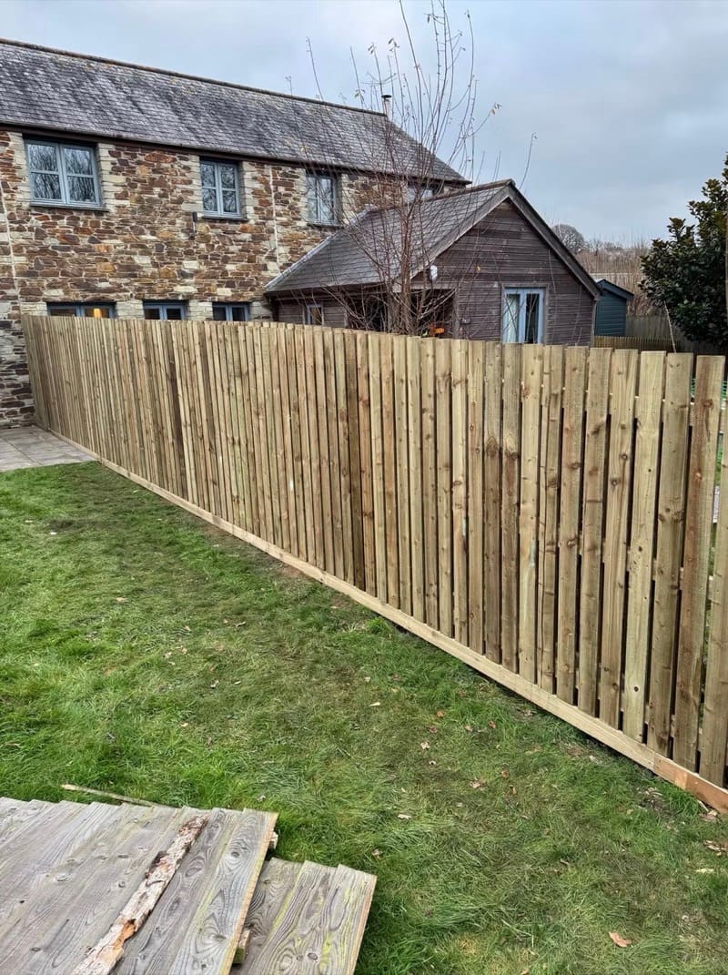 A run of featheredge timber fencing along a garden boundary